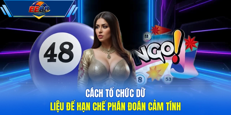 Cách tổ chức dữ liệu để hạn chế phán đoán cảm tính 